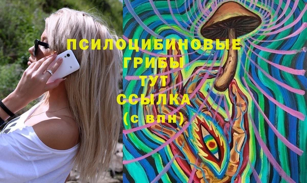 прущий лед Белокуриха