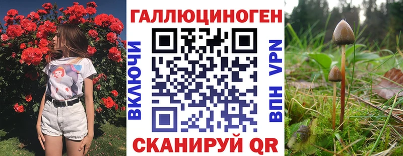 Галлюциногенные грибы MAGIC MUSHROOMS Няндома